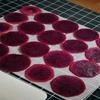 Dehydrator Sheet for Food Dehydrator,10 Pcs 29X37cm , Silicone Sheets, Fruit Dehydrator Mats, Silicone Dehydrator Sheets-A33R