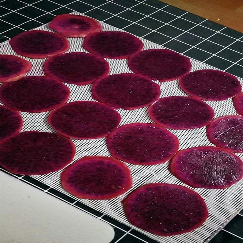 Dehydrator Sheet for Food Dehydrator,10 Pcs 29X37cm , Silicone Sheets, Fruit Dehydrator Mats, Silicone Dehydrator Sheets-A33R