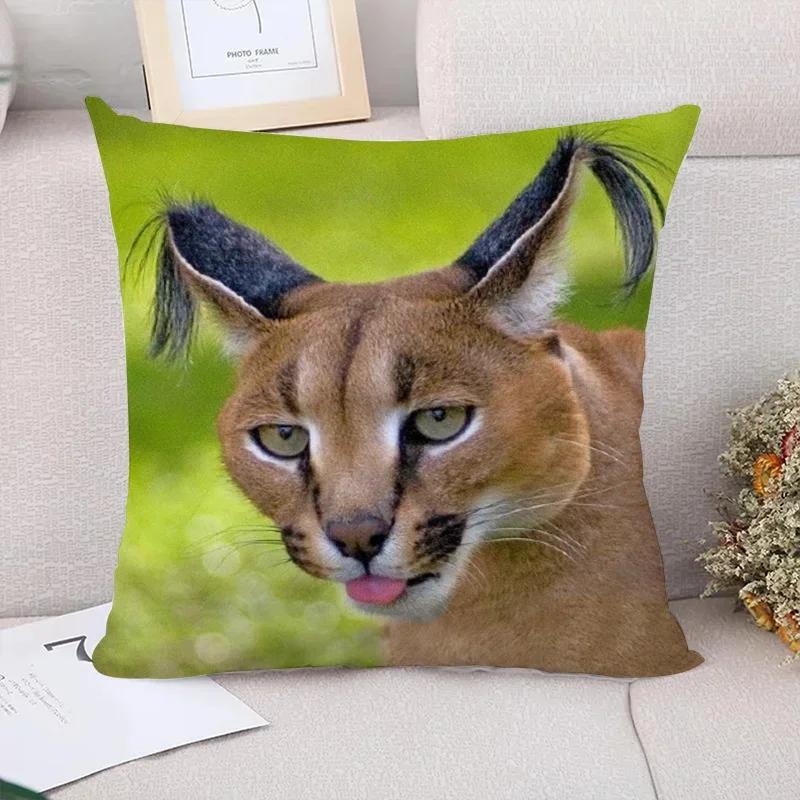Caracal Poduszki na sofę Poszewka dekoracyjna x Poszewki na poduszki Poduszki dekoracyjne Wystrój domu Poszewka na poduszkę Krótki plusz