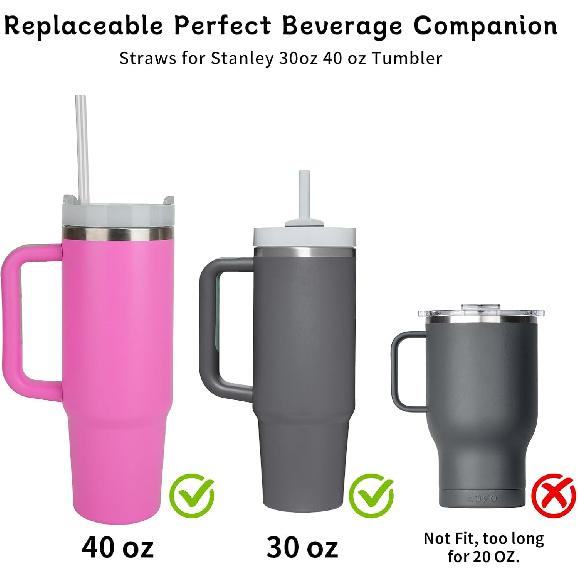 Replacement Straws for Stanley 40 oz 30 oz Tumbler,6 Pack Reble Plastic Straws,Compatible Accessories Drinking for Stanley and More, BPA