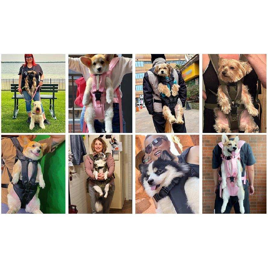 Pet Carrier Backpack for Dogs Cat Thickened Sponge Pet Front Dog Carrier Backpacks Portable Puppy Transportation Dog Bags