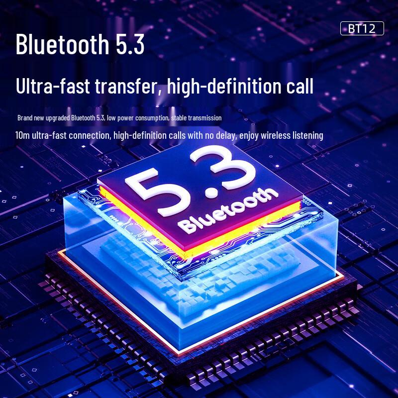 Newman BT12 Tragbarer Bluetooth-Lautsprecher