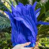 2Meters 25-30CM Rooster Tail Feather Tassel Trim for Wedding Party Dress Handicraft Accessory Cock Plumes Ribbon Chicken Feather