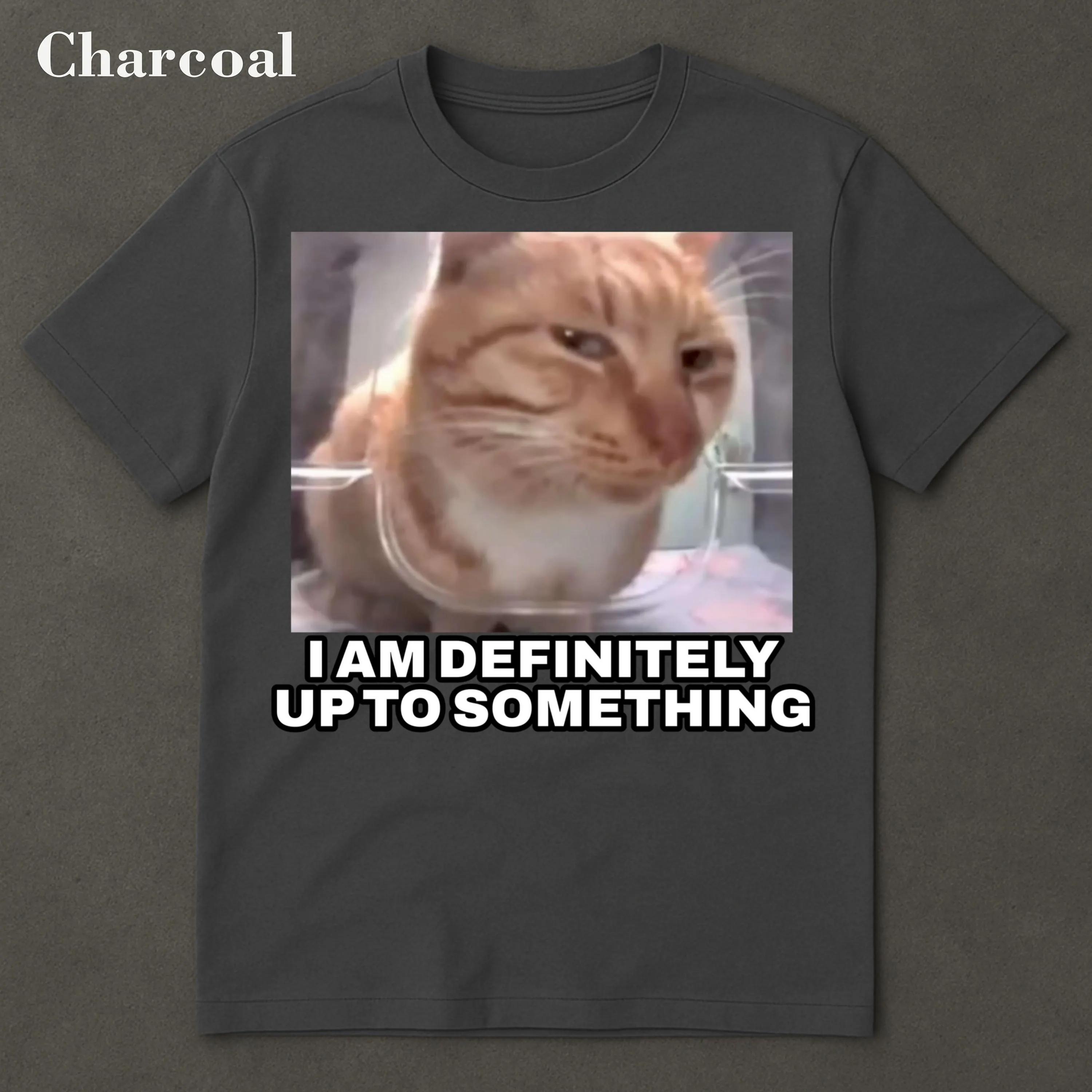Смешная Я Определенно Что-то Замышляю Кошка Забавный Кот Футболка с Кошкой Подарок Любителю Кошек Проклятая Кошка Смешной Мем Смешная Футболка с Кошкой Мужская Одежда 4XL