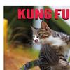 2026 Calendar January 2026 - December 2026 12 Monthly Planner Kung Fu