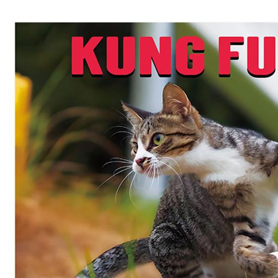 2026 Calendar January 2026 - December 2026 12 Monthly Planner Kung Fu