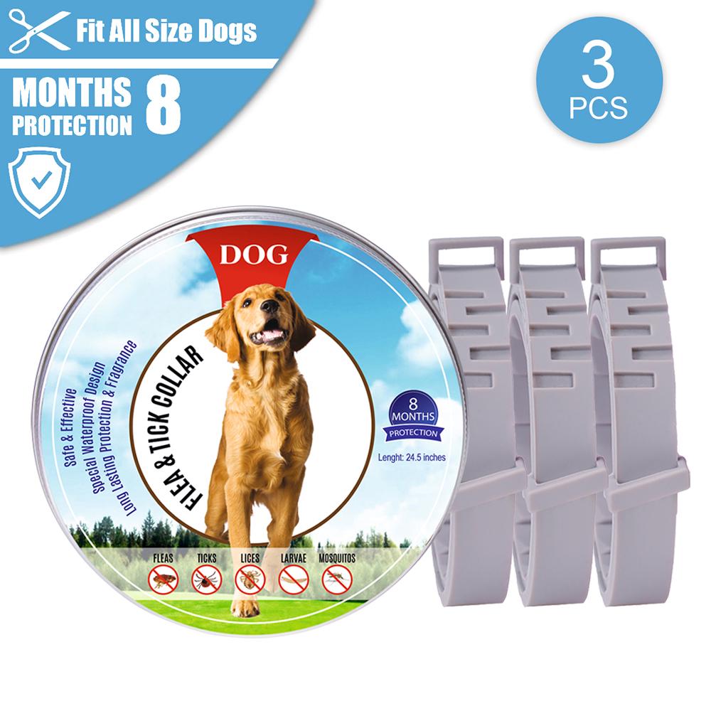 Buy Flea Collar Dogs 8month Flea and Tick Prevention for Dogs 3 Months
