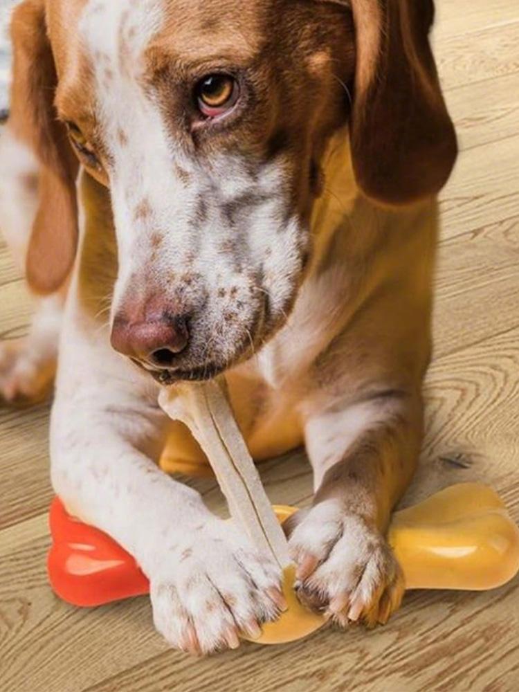Dog Treat Stick Holder Dog Bully Stick Holder Anti choking dog chewing wooden stick holder pet teeth cleaning Pet Supplies