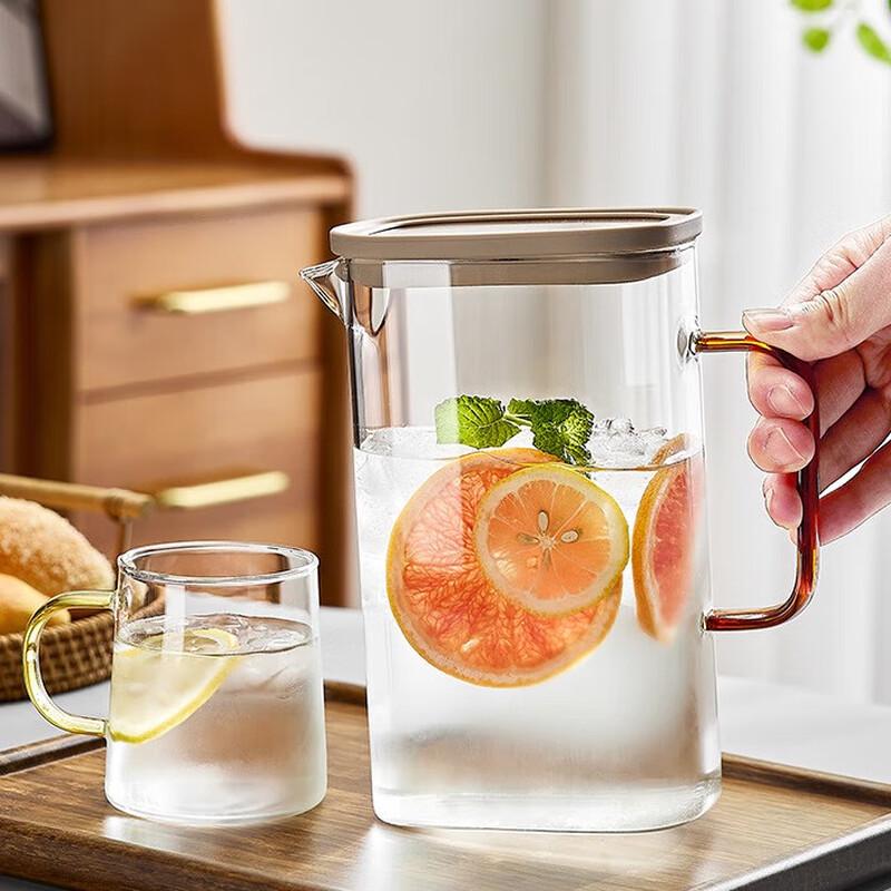 Shangqi Multi-use Cold Brew Coffee & Tea Pot