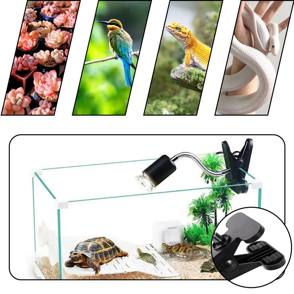 Reptile Pet Adjustable Heating Lamp 25\50\75W Full Spectrum UVA+UVb Suitable For Turtles And Lizards Calcium Supplement Lamp