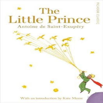 De Kleine Prins door Antoine de SaintExupery Paperback Boek 9781509811304