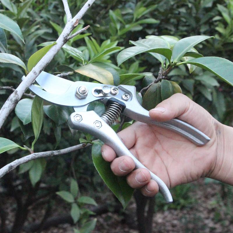 Professional Garden Pruning Shears CN plug (adapter included)