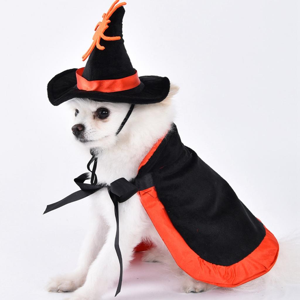 Halloween Dog Cape Costume With Hat Pet Cape Set Bat/Pumpkin/Star  Black Orange And Gold Spider Print