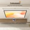 Manual Self-Locking Projector Screen