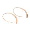 Korean Fashion Titanium Steel Line Earrings for Women
