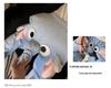 Spring and Autumn 3D Cute Elephant Loose Sleep Pants for Kids & Couples