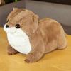 50/65cm simuliertes Seeotter-Plüschtier-Figürchen, Cartoon Anime niedliches Kissen, Kissen, Heimdekoration, Kindergeburtstagsgeschenk tu