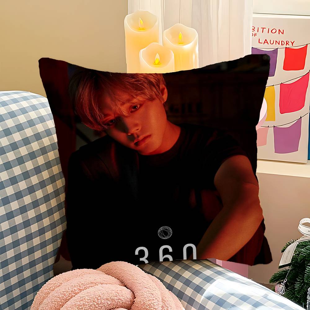 Korean P-PARK JI HOON Cushion Cover Pillowcase Upholstery Sofa Throw Pillow Home Decor Pillowcas
