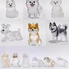 1 Piece Puppy Hair Transparent Storage Box Bag Dog Hair Hair Storage Capsule Pendant Charm Pet Collection Decoration Souvenirs