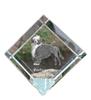 Portuguese Water Dog, Portie, PWD, Water Dog – Crystal Cube with a Photo, Photo of a Horse In Crystal |