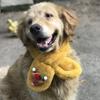 Cute Plush Thermal products Adjustable Dog Warm Scarf Dog Accessories Pet Scarf Pet Bib