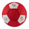Liverpool FC Mesh Ball
