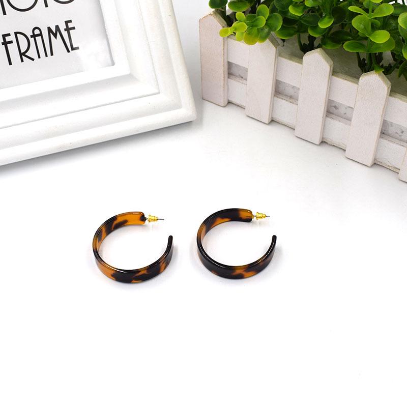 Japanese-Korean Style Minimalist Resin Acetate Stud & Drop Earrings for Women