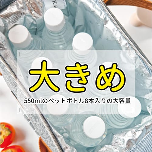 Lekesky 10L Large Capacity Foldable Lunch Bag with Clasp Closure, Water-Repellent, Leak-Proof Handle, and Pockets for Convenience, Perfect for Shoppin