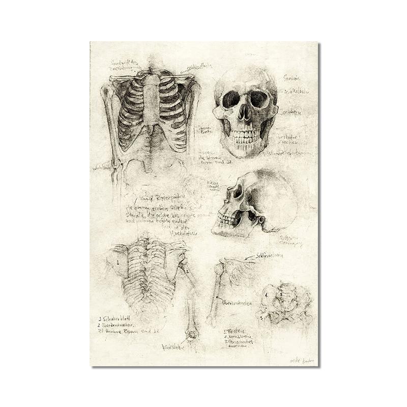 Vintage Fox Butterfly Deer Insect Note Retro Poster Mushrooms Canvas Painting Wall Art Print Wall Pictures for Living Room Decor