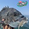 Berkley Gulp! SW Turbo Shrimp 4 Scooby G2STS4-SCBY Worm Bait