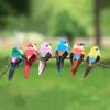 6 Stück Realistische Simulierte Vogeldekoration Mit Natürlichen Federn Und Lebendigen Farben Perfekt Für Garten Hof Haus Party Dekoration Schmuckstück