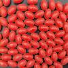 1000pcs Oval Fishing Beads Glow In the Dark Green Fishing Beads Luminous Bead Stopper Fishing Accessories