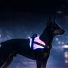 Luminous Pet Harness, Visible Harness and Dog Leash for Night Walking, Cross-Border Bestseller