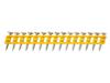 Dewalt Nägel Dcn890 Std 2.6X30Mm /1005Stk.