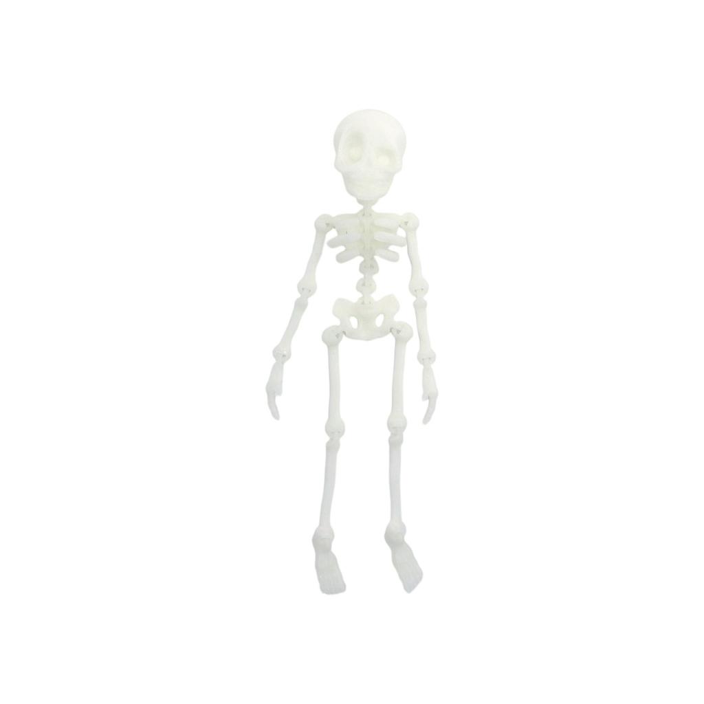 Esqueleto Humano Impresso em 3D Articulação Móvel Brinquedo de Halloween Infantil Ímã de Geladeira Criativo