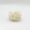 Plush Material Hand-knitting Yarn 50g Weight Circle Yarn Curled Teddy Yarn  For Scarf