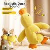 Teeth Cleaning Pet Plush Toy Stomping Duck Dog Interactive Entertainment Puppy New Dog Toy  Pet
