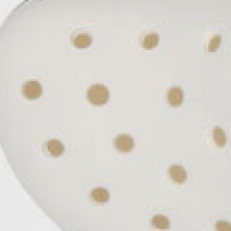 Crocs Crocband Clog Adult Sandals White 11016 100