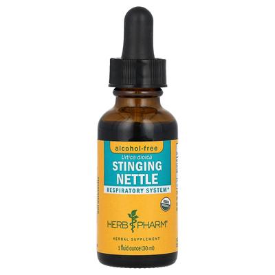Ortie, Sans Alcool, 30ml (1 fl oz)