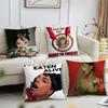 Singer M-Mariah the S-Scientist Cushion Cover Living Room Accent Couch Back Support Square Lounge Restful Nap Companion Pillow C