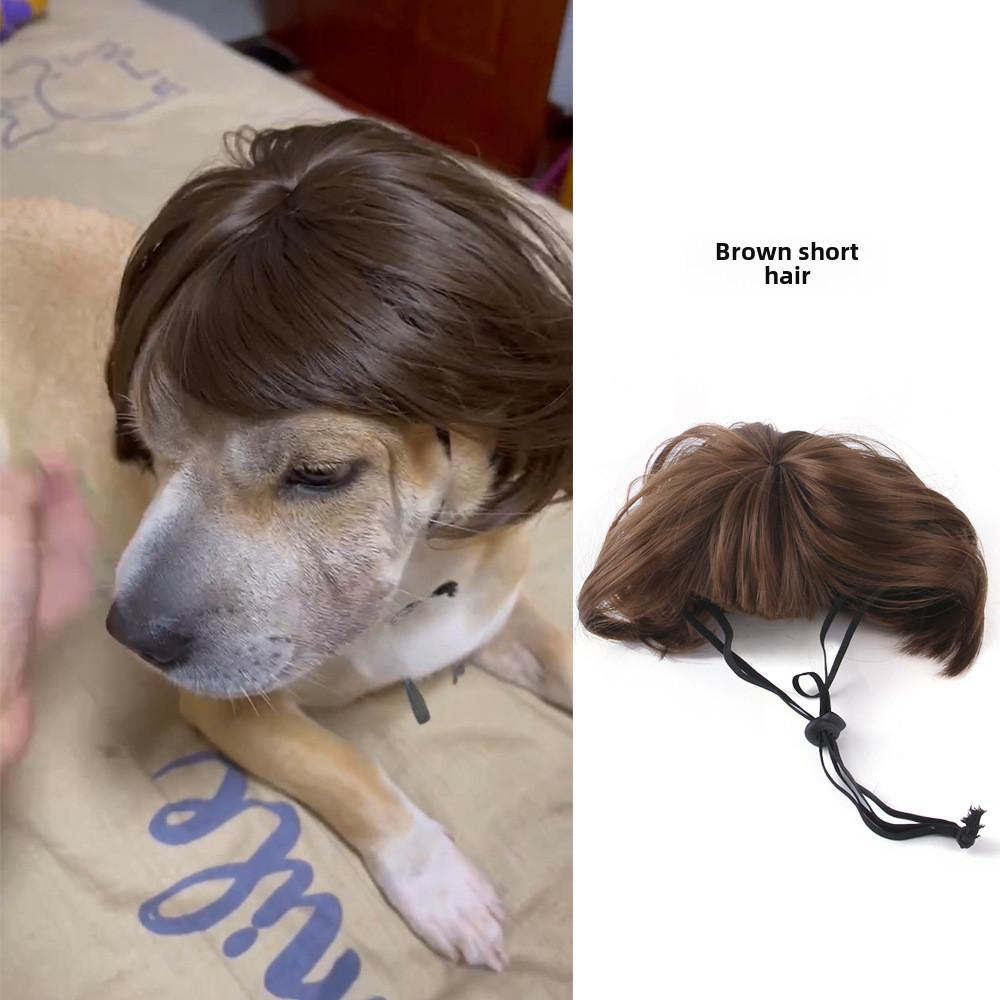 Peruca Vermelha Vibrante Explosiva com Franja Para Animais de Estimação Ideal Para Celebrações de Halloween