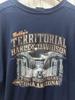[USED] Vintage Harley-Davidson skull t-shirt with double-sided pockets.