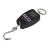 Portable Electronic Scale High Accuracy Digital Hanging Scale 200kg Weight Capacity Crane Scale for Food Luggage