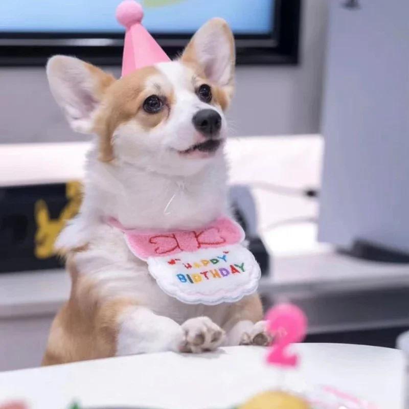 Cappellino e bavaglino per la festa di compleanno del gatto con bandana regolabile, completo dolce per animali domestici, sciarpa per gatti e cuccioli, set di vestiario per animali.