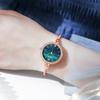Uhr Damenstil Armband Klein Einfach Trendig Temperament Damen Wasserdichte Quarz Uhr