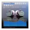 HiFiGo Wired Earphones Gaming Earphones Earphones ROSE Technics Aurora Ultra 1 Planar + 1Dynamic Driver In-ear Monitor Earphones with Type C-3.5mm