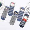 Korean Style Mid-Calf Cute 3D Cartoon Totoro Ear Socks for School