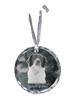 French Spaniel, French Setter - Crystal Bauble with a Photo, Dog Photo In Crystal, Personalized Christmas Tree Ornament by Brand