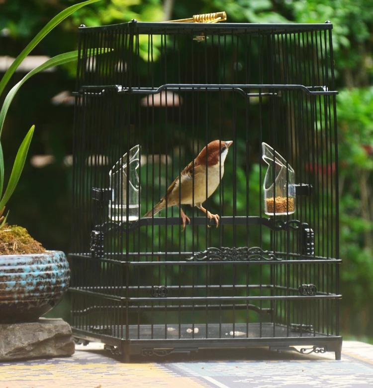 Black Square Bird Cages Parrot Outdoors Decoration Carrier Budgie Bird Cages Canary Breeding Jaula Pajaro Birds Supplies