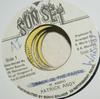 7inch Record PATRICK ANDY  Skank In The Party NONE Sun Set Jamaica Reggae Ska  Dub Used